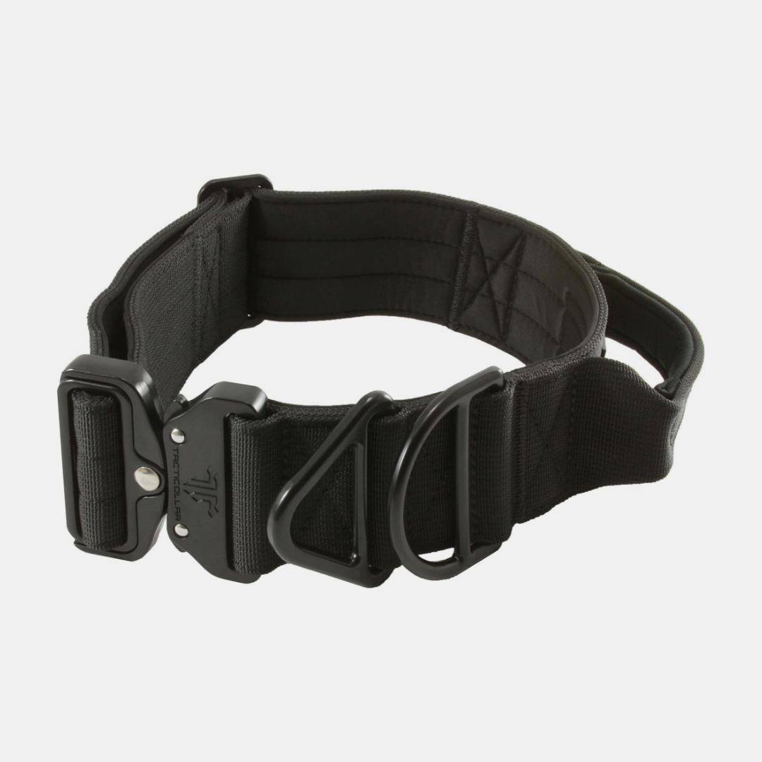 Ошейник для служебной собаки